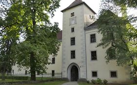 Schloss Gmuend